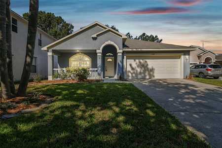 3407 Gray Whetstone St Brandon, FL 33511
