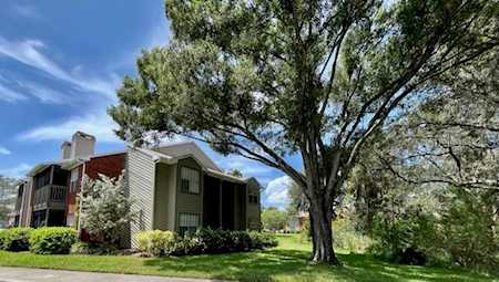 9100 Dr Martin Luther King Jr St N #105 St. Petersburg, FL 33702