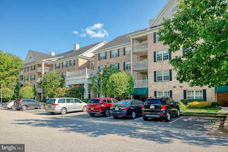 12101 Tullamore Ct #205 Lutherville Timonium, MD 21093