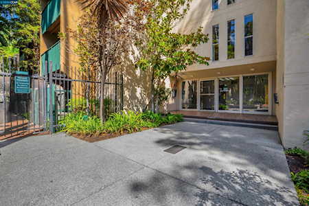 1236 Walker Ave Walnut Creek, CA 94596
