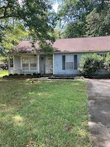 38 Raintree Ct Irmo, SC 29063