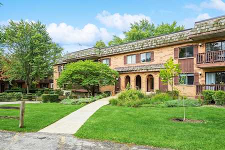 8100 Woodglen Ln #203 Downers Grove, IL 60516