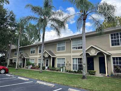 2879 Thaxton Dr #56 Palm Harbor, FL 34684