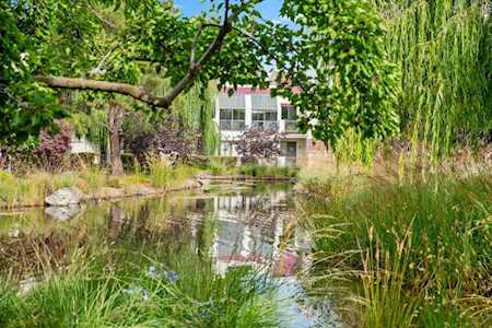 118 Shorebird Circle San Mateo, CA 94403 CA 94065
