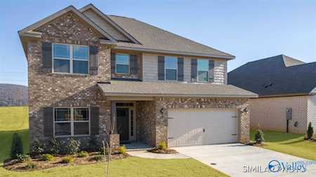 314 Valion Street Meridianville, AL 35759