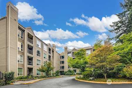 800 N 160th St #204 Shoreline, WA 98133