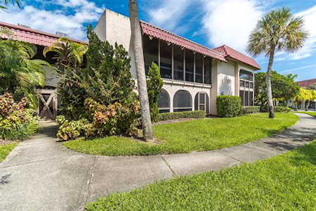 1009 S Bayshore Blvd #103 Safety Harbor, FL 34695