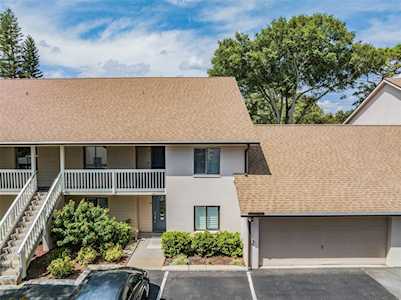 3709 Greenery Ct #109 Tampa, FL 33618