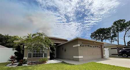 7934 Hathaway Dr New Port Richey, FL 34654