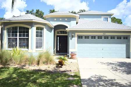 7803 Blue Spring Dr Land O Lakes, FL 34637