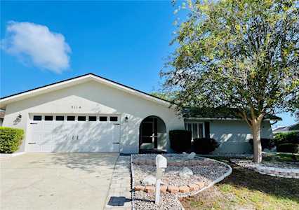3114 Swan Ln Safety Harbor, FL 34695