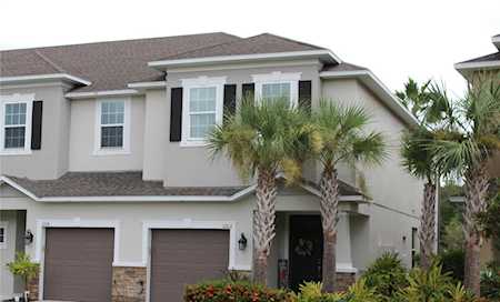 1202 Syrah Dr Oldsmar, FL 34677