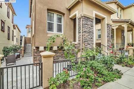 49042 Feather Grass Ter Fremont, CA 94539