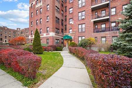 5 Circuit Rd #A63 New Rochelle, NY 10805