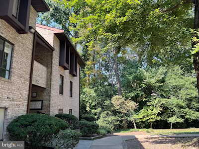 2216 Castle Rock Square #11C Reston, VA 20191