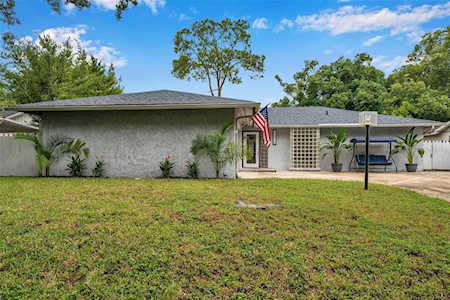 17618 Meadowbridge Dr Lutz, FL 33549