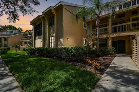 113 Lindsay Ln #113 Oldsmar, FL 34677