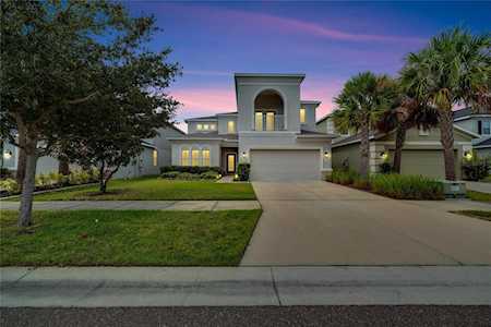 7303 Blue Beech Dr Riverview, FL 33578