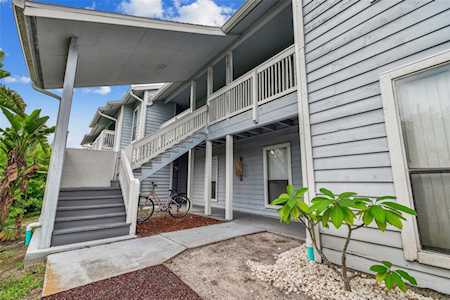 455 Alt 19 S #156 Palm Harbor, FL 34683