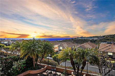 61 San Raphael Dana Point, CA 92629