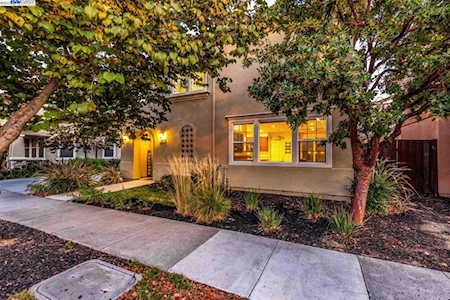336 Pacifica Dr Brentwood, CA 94513