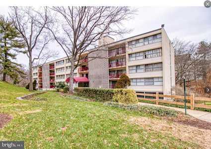 9203 New Hampshire Ave #202 Silver Spring, MD 20903