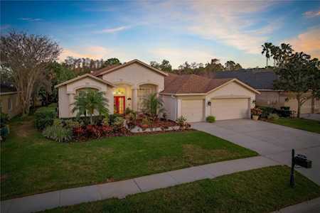 5141 Kernwood Ct Palm Harbor, FL 34685