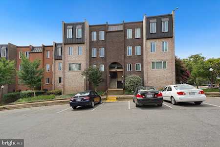 5017 7th Rd S #301 Arlington, VA 22204