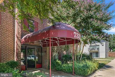 7332 Tavenner Ln #1A Alexandria, VA 22306