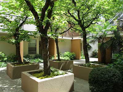1535 SW Clay ST #203 Portland, OR 97201