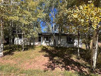 510 N Park Drive Woodland Park, CO 80863