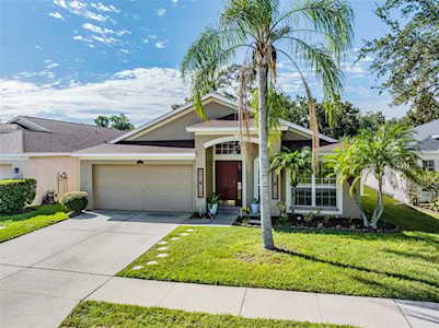 939 Summer Breeze Dr Brandon, FL 33511