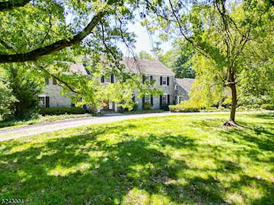 12 White Deer Ln Harding Twp., NJ 07960