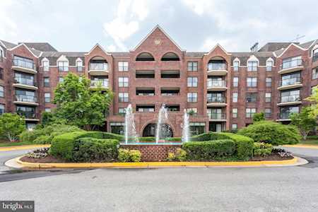 2100 Langston Blvd #228 Arlington, VA 22201