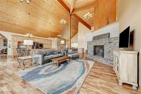 32363 San Luis Peak Trl Pine, CO 80470