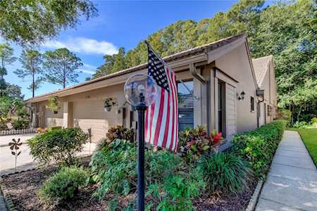 3106 Windmoor Dr N Palm Harbor, FL 34685