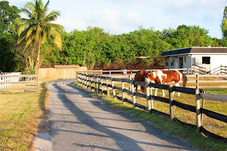 Address Withheld Parkland, FL 33067