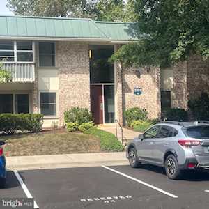 3301 S Leisure World Blvd #99-1F Silver Spring, MD 20906