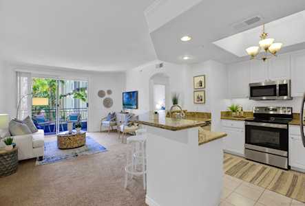 9263 Regents Rd #B205 La Jolla, CA 92037
