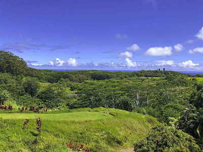3969 Lepo St Haiku, HI 96708