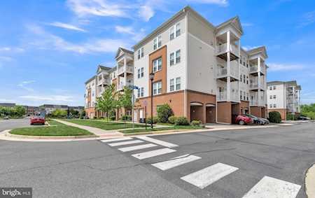 24660 Woolly Mammoth Terrace #201 Aldie, VA 20105