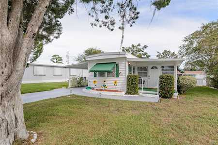 163 Philadelphia Blvd Palm Harbor, FL 34684