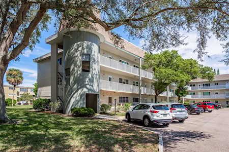 2440 World Parkway Blvd #24 Clearwater, FL 33763