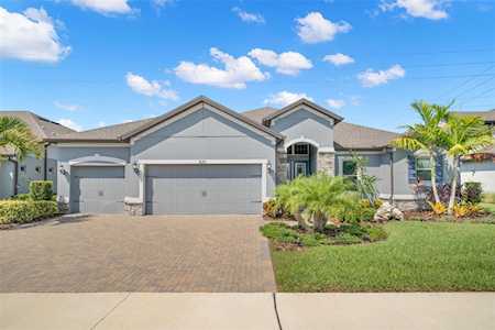 820 Forest Glen Ct Palm Harbor, FL 34683