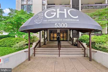 5300 Holmes Run Parkway #613 Alexandria, VA 22304