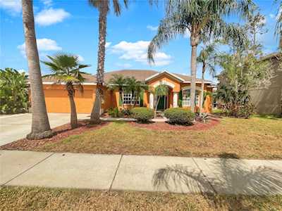 1025 Sawgrass Dr Tarpon Springs, FL 34689