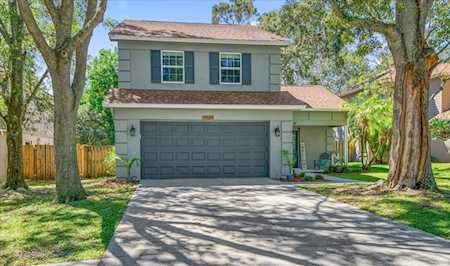 3674 Fremantle Dr Palm Harbor, FL 34684