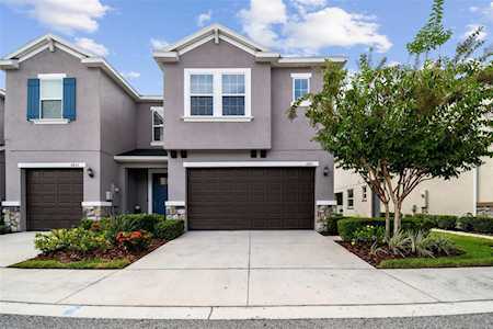 6831 Citrus Creek Ln Tampa, FL 33625