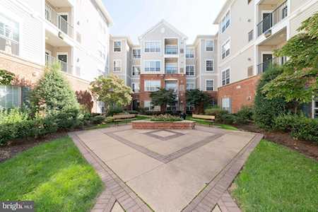 4862 Eisenhower Ave #166 Alexandria, VA 22304