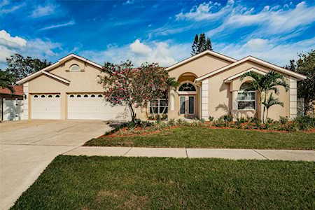 2612 Bellhurst Dr Dunedin, FL 34698
